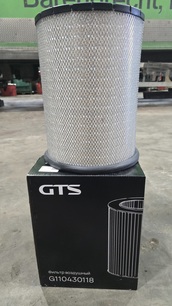 G110430118 GTS Фильтр воздушный