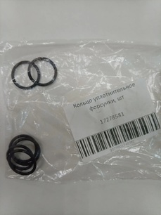 17278581 IVECO Кольцо уплотнительное