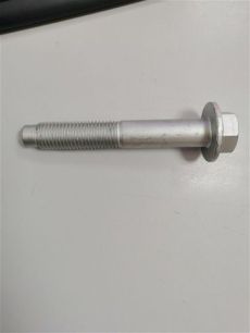 16507 SEM LASTIK Болт