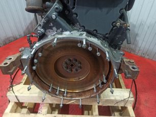 500310414 IVECO Кожух маховика, № XF347340