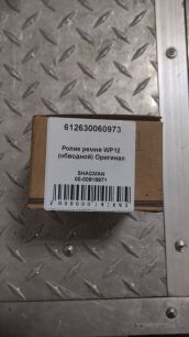 612630060973 WEICHAI