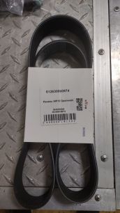 612630060974 WEICHAI