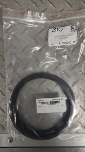 612600030110 WEICHAI