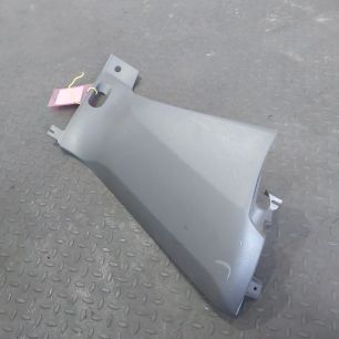 1845488 DAF Накладка торпедо