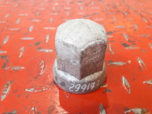 20578566 VOLVO Колпачок на гайку, № XF299197