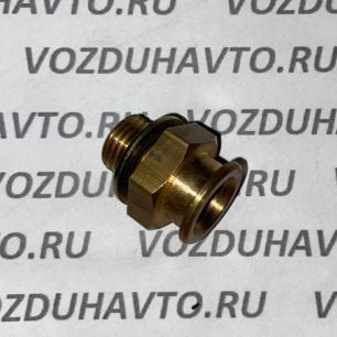 6571012000 KAMAZ Штуцер топливной трубки