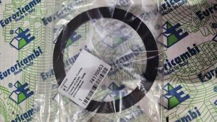EU74170563 EURORICAMBI Шайба дифференциала