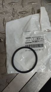 06569390071 MAN Кольцо уплотнительное