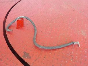 Изображение грузовика