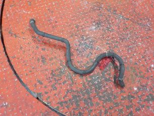 Изображение грузовика