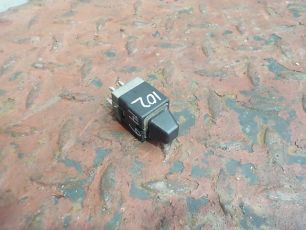 1307899 DAF Кнопка, № XF102149