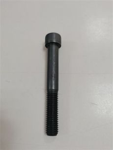 C223675129 WEWELER Болт рессоры