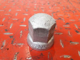 20578566 VOLVO Колпачок на гайку, № XF299212