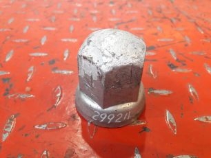 20578566 VOLVO Колпачок на гайку, № XF299211