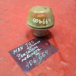81253206118 MAN Указатель поворота, № XF406664