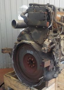 500310414 IVECO Кожух маховика, № XF161667