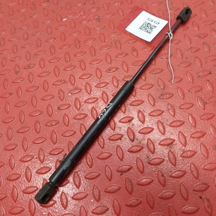 1744682 DAF Амортизатор газовый, № XF473973