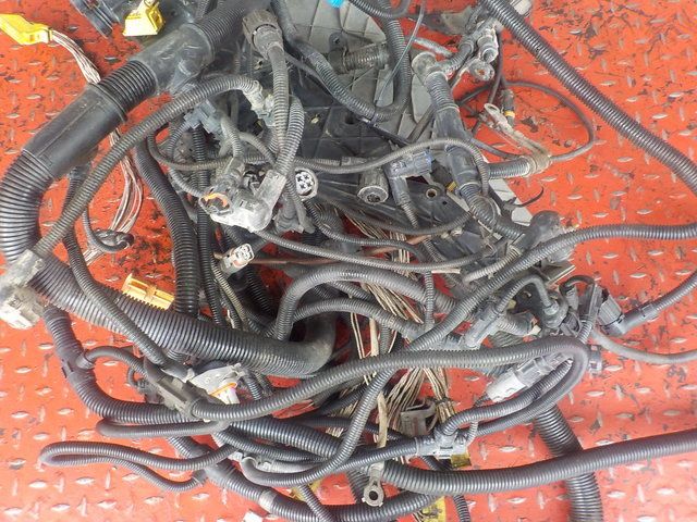81254246301 MAN Электропроводка двигателя, № XF311717, фото 2