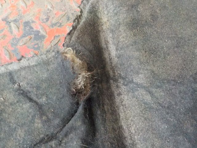 20429297 VOLVO Шумоизоляция двигателя, № XF138905, фото 4