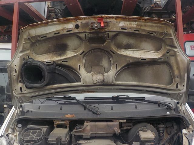 3800056 IVECO Капот, № XF173967, фото 2