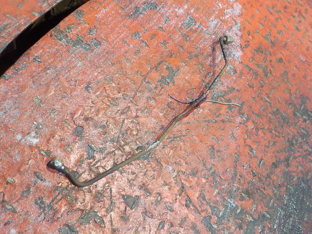 5411402864 MERCEDES Трубка, № XF311341, фото 1