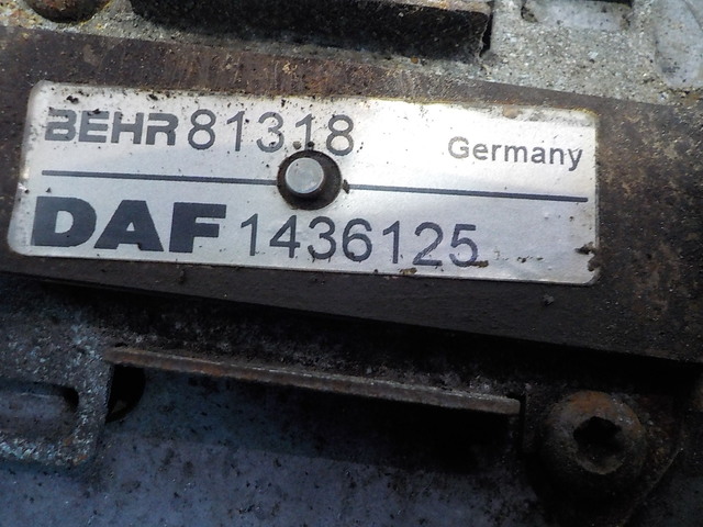 1436125 DAF Термомуфта, № XF282485, фото 4