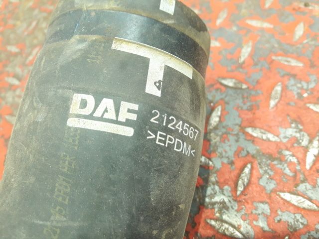 2124567 DAF Патрубок водяной, № XF333812, фото 3