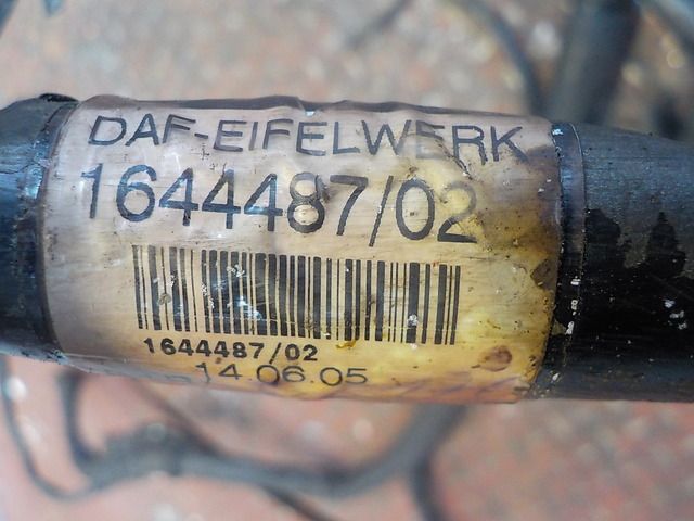 1446979 DAF Электропроводка двигателя, № XF131650, фото 3