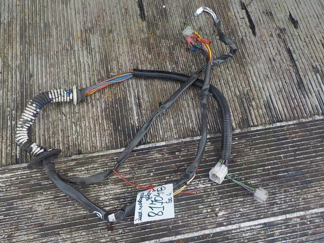 1366741 SCANIA Электропроводка двери, № XF481726, фото 1