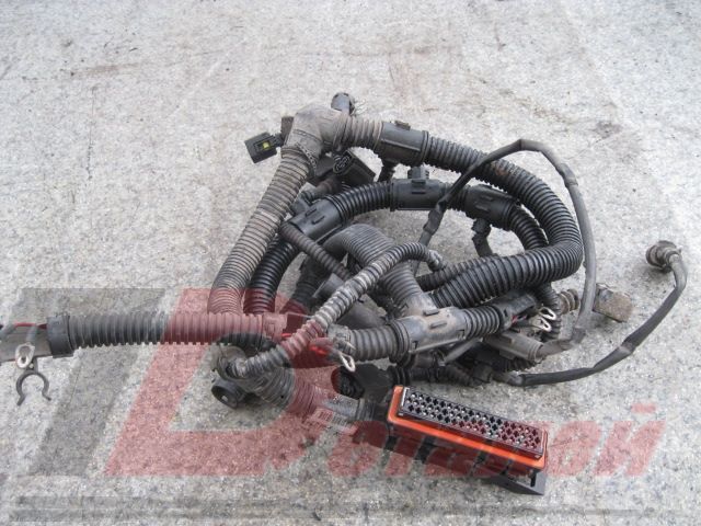 5411504433 MERCEDES Электропроводка двигателя, № XF11611, фото 2