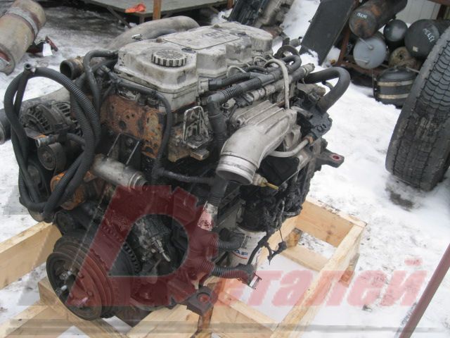 504239584 IVECO Двигатель, Tector4, № XF14046, фото 2