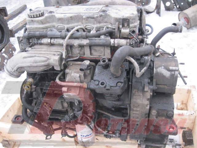 504239584 IVECO Двигатель, Tector4, № XF14046, фото 6