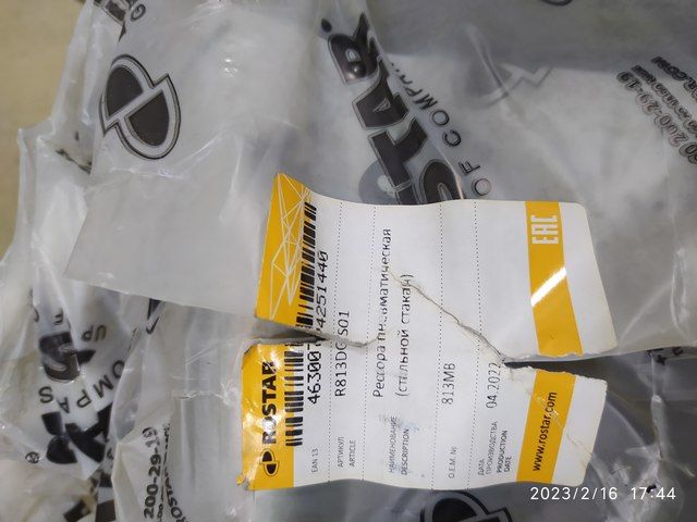R813DGS01 ROSTAR Пневмоподушка, фото 2