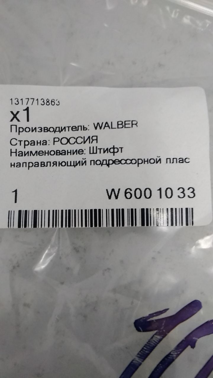 W6001033 WALBERG Штифт, фото 2