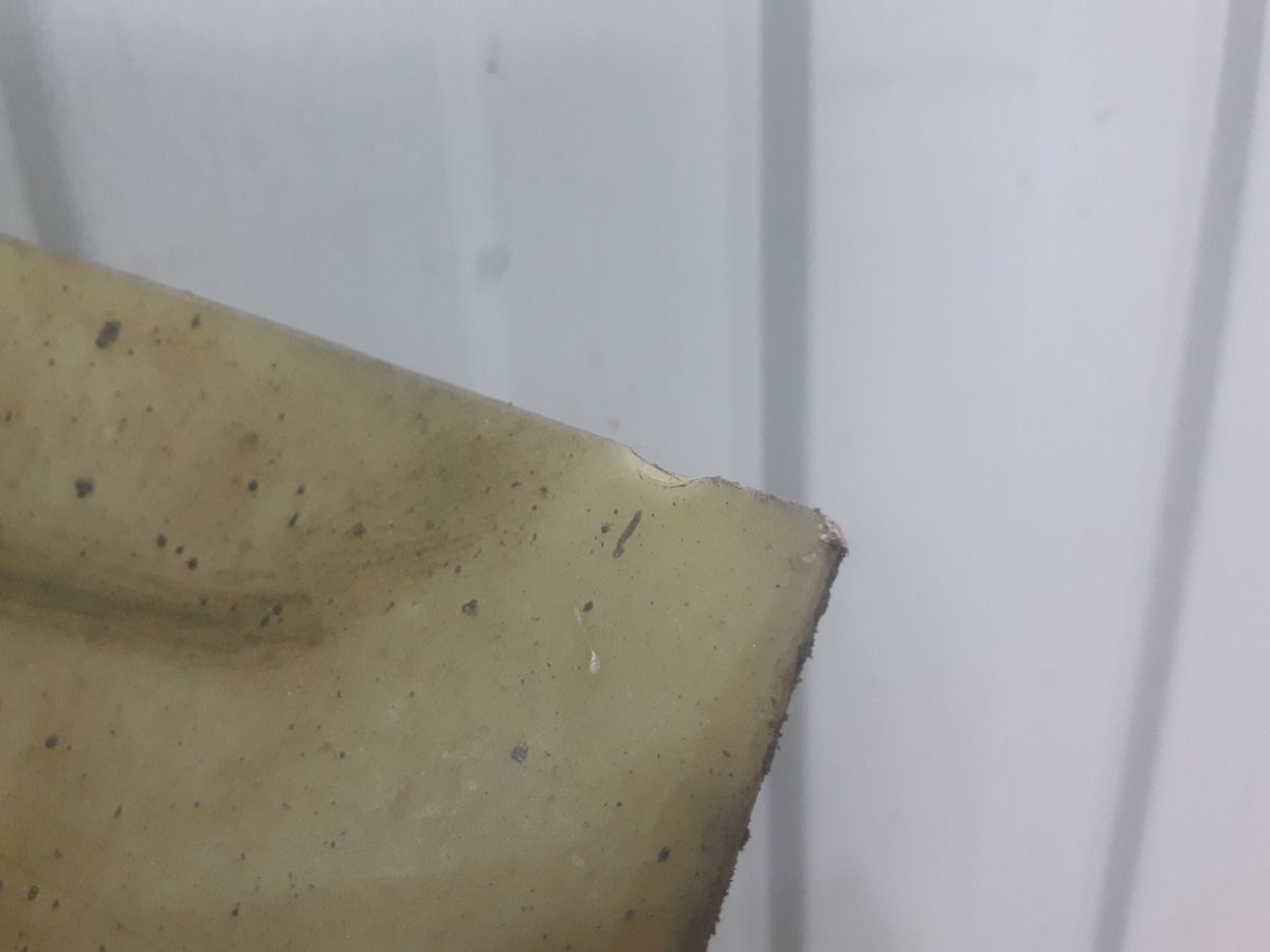 1499684 SCANIA Крыльчатка термомуфты, № XF419927, фото 4