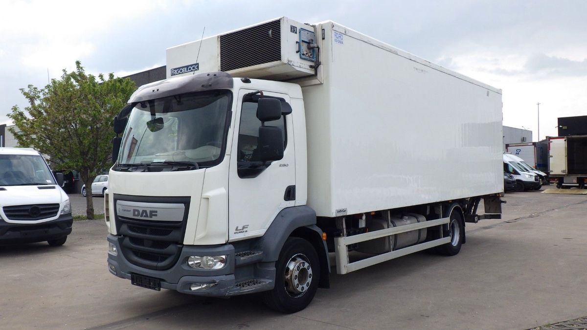 DAF LF с 2014, 2016 года, автомобиль в разборе