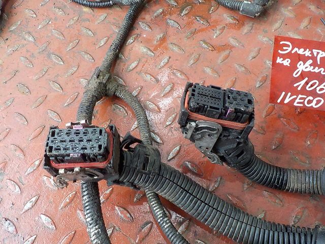504060286 IVECO Электропроводка двигателя, № XF106090, фото 4