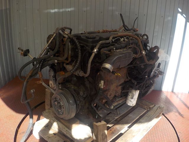 504059545 IVECO Двигатель, Tector6, № XF177044, фото 2