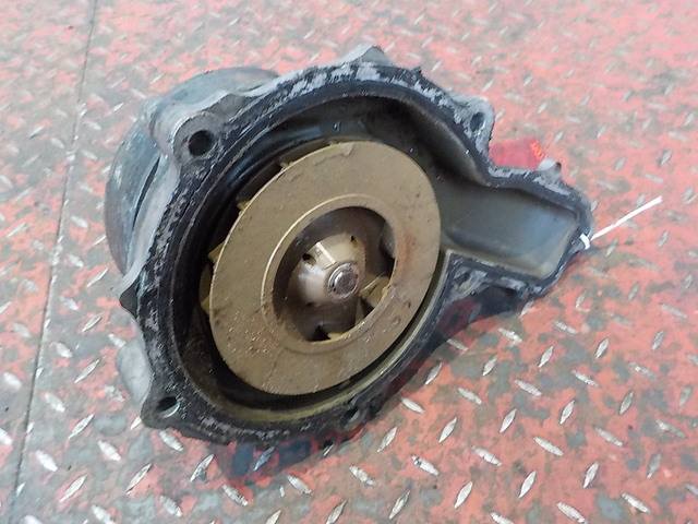 7421969184 RENAULT Насос водяной, № XF151173, фото 3